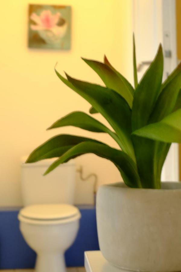 Lp'S House Appartement Annecy Buitenkant foto